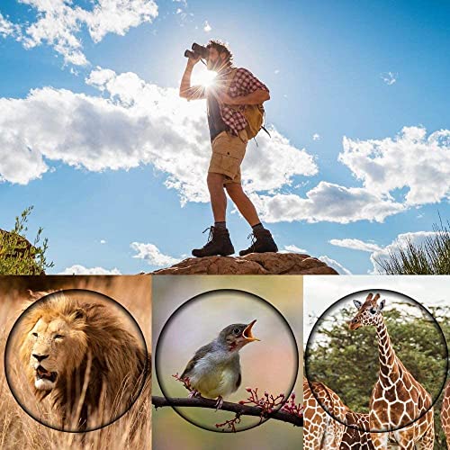 Compact Binoculars, High Powered Binoculars For Adults With Low Light Night Vision, Easy Focus Binoculars Clear For Bird Watching, Outdoor Sports Games And Concerts #TOP6