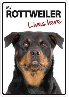 Magnet & Steel 3629 Rottweiler Lives Here A5 Sign