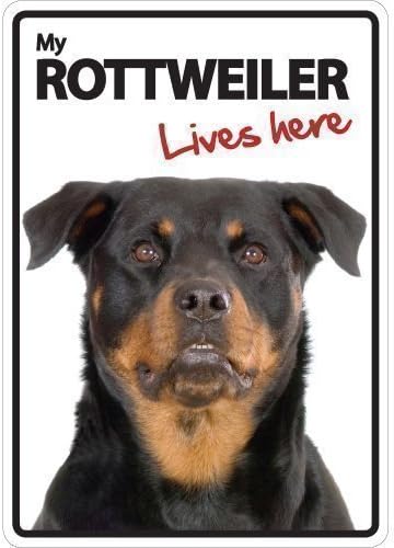 Magnet & Steel 3629 Rottweiler Lives Here A5 Sign