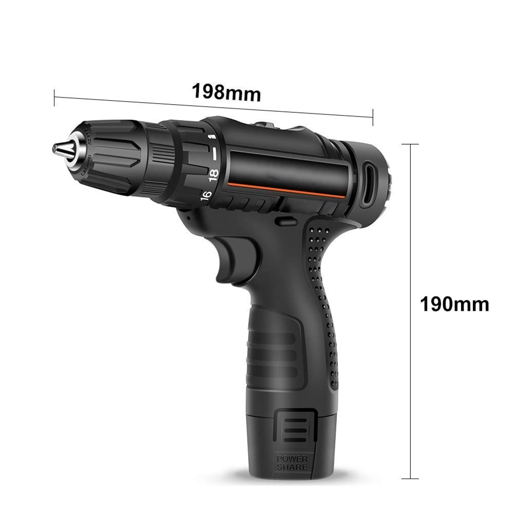 Trapano Avvitatore a Batteria Trapano Combinato agli ioni di Litio 12V-Max in Custodia da Trasporto, Faro da Lavoro a LED, Batteria a Cambio rapido e Caricabatterie Inclusi