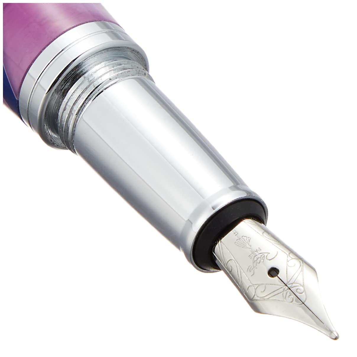 Amazon | レシーフ パールソユーズ 万年筆 パープル 細字 | 万年筆