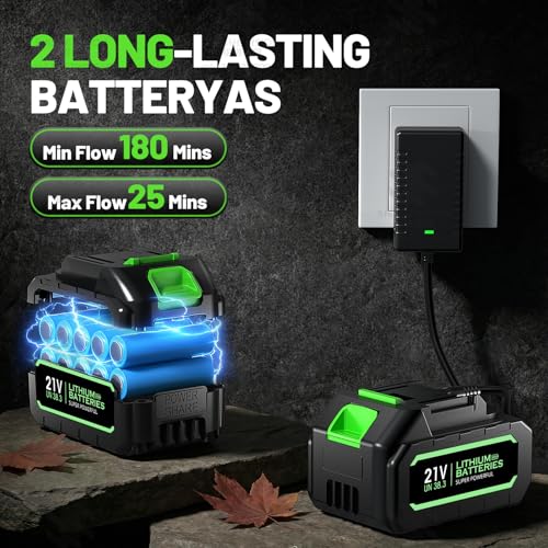 Cordless Leaf Blower and Vacuum