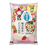 農業生産法人ワタナベ 【新米】 令和7年 無洗米 2kg お米 【 大粒 で冷めても美味しい 甘み旨み粒しっかり 】 栃木県 新ブランド とちぎの星 米 おこめ/ 2kg×1袋