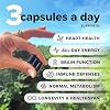 Complement Essential Vegan Multivitamin & Triple B12 Spray Bundle Comprehensive Nutritional Support for Plant-Based Diets
