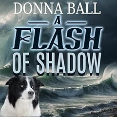 A Flash of Shadow Audiolibro Por Donna Ball arte de portada