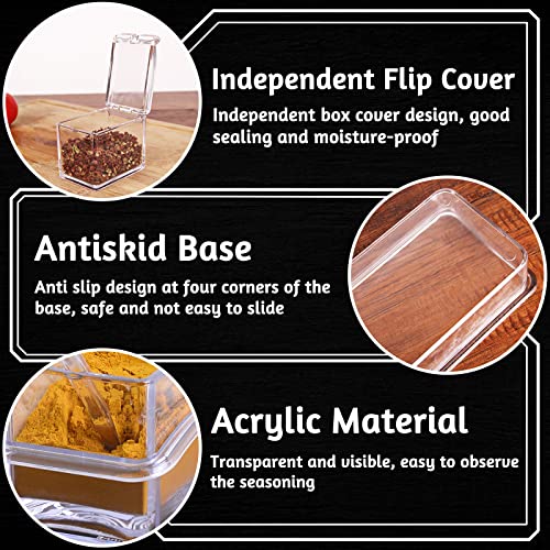 4 PCS Seasoning Box, Clear Spice Containers with Spoon, Acrylic Toppings Containers with Lids, Kitchen Multi Spice Box for Salt, Sugar, Pepper, Garlic Powder