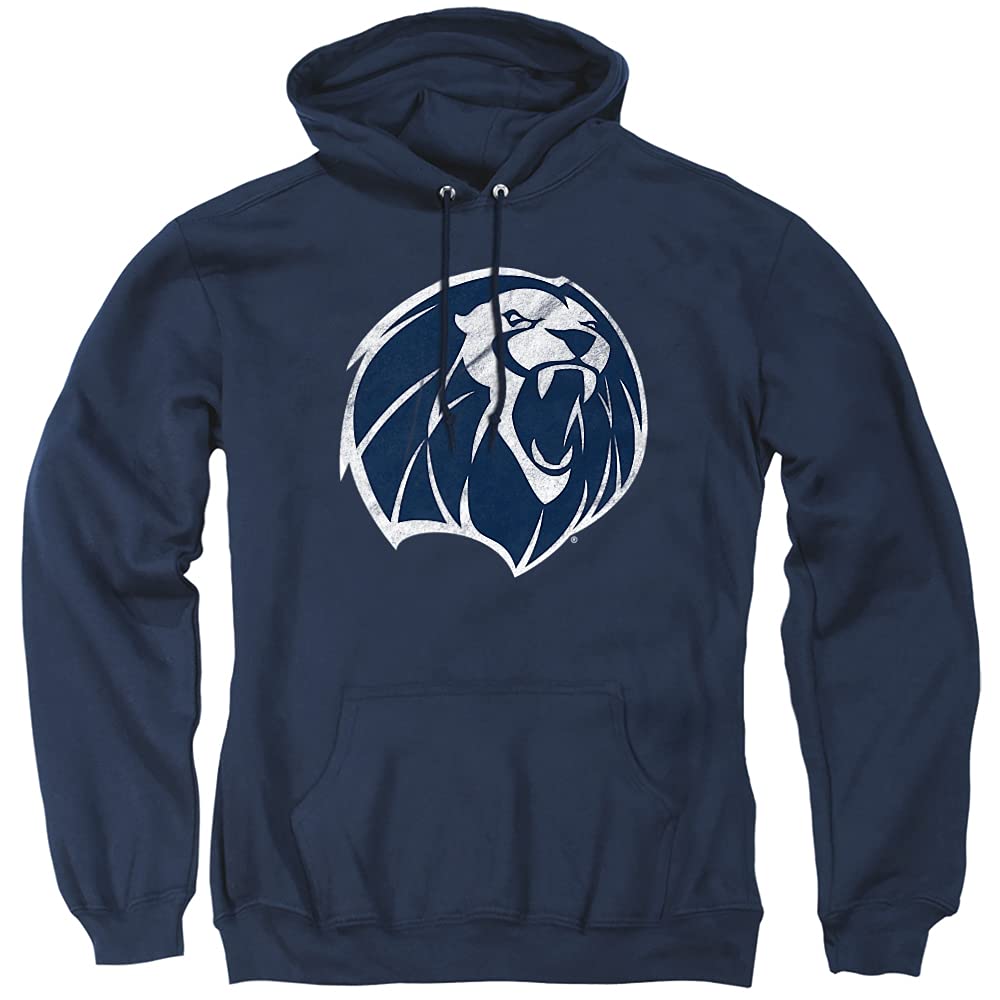 LOGOVISION Official Collegiate Distressed Primary Logo Adult Pullover Hoodie Collection — view 92