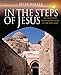 In the Steps of Jesus (In the Steps of Series)