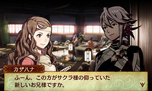 Amazon Com ファイアーエムブレムif Special Edition 特製アートブック Tcgファイアーエムブレム0限定カード 同梱 Video Games