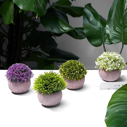 La mejor comparación de Mini macetas decorativas para comprar hoy. 15 Imagen adicional