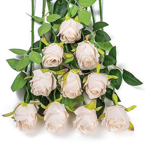 DuHouse 10pcs Artificial Silk Roses Flowers Single Long Stem Fake Rose Bouquet for Wedding Home Party Decoration Centerpieces(Beige)