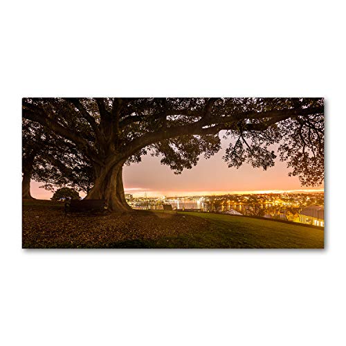 Toile imprimée paysage de vieux arbre multicolore Tulup 120x60 cm pour salon