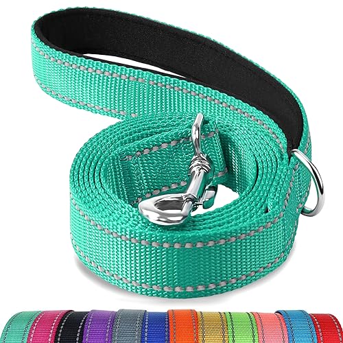 Puppy Leash The 15 best products compared Wild Explained
