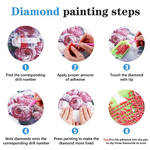 Heyu-Lotus 2 Pack DIY Diamant Malerei, Rose Blumen Vollbohrmaschine Kristallstickerei Kreuzstich, Wohnkultur… – Bild 6