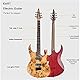 EART H6 E-Gitarre Fix Bridge Gitarre mit 6 Saiten Solid-Body Rechtshänder E-Gitarre, geschlossene Tonabnehmer für Heavy Metal Musik, Pop, Rock, Dendritic Veneer Gitarre