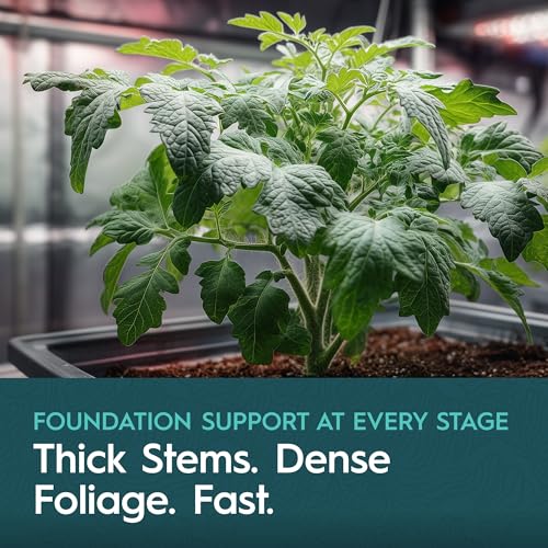 Base líquida nutricional para cultivo de plantas miniatura 3