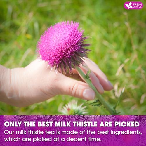 Image of FreshDrinkUS, Premium 30 Milk Thistle Tea Bags, 100% Natural & Pure from Milk Thistle Seeds. Milk Thistle Seed Herbal Tea. Made with Natural Material Tea Bags. No Sugar, No Caffeine, No Gluten, Vegan.