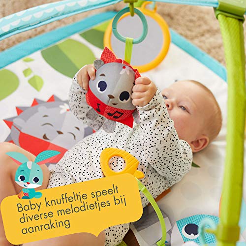 Tiny Love Gymini Sunny Day, Baby Speelkleed met Muziek en Baby Activity Gym, Geschikt vanaf de Geboorte, 0m +, 85 x 75 x 45, Meadow Days - Afbeelding 3
