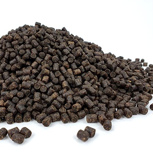 Pellet di storione di alta qualità, 6 mm, per stagno sterlet, per pesci e carpa koi (100 g)