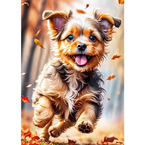 AIRDEA Happy Smiling Dog Diamond Painting Kits for Adults, Yaks Diamond Art Kits, 5D DIY Full Drill Diamond dots for Wall Decor Gem Arts 12x16inch AIRDEA Happy Smiling Dog Diamond Painting Kits for Adults, Yaks Diamond Art Kits, 5D DIY Full Drill Diamond dots for Wall Decor Gem Arts 12x16inch