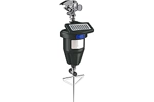 Motion Detection Sprinkler: Keep Pests Away from Your Yard