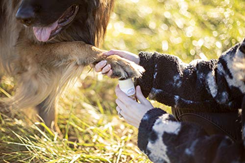 All Natural Shea Butter Balm For Dogs Treats Dry, Cracked, And Chapped Skin, Nose, And Paws. Coats, Soothes, And Heals Damaged Snouts And Pads. Mess Free And Easy To Use Application. #TOP5