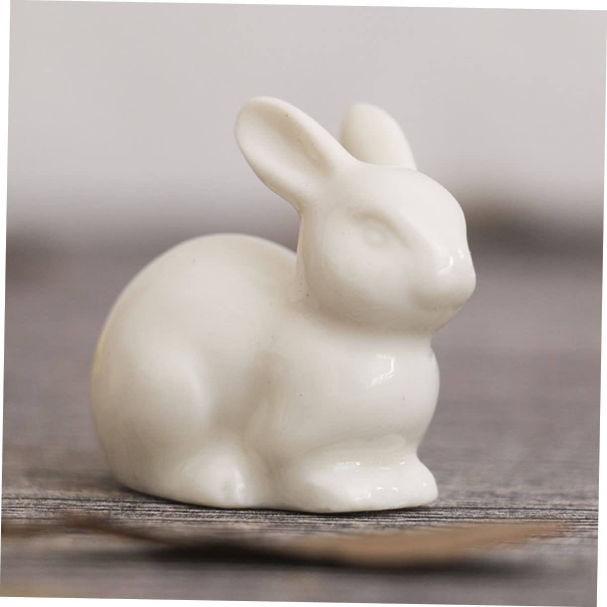Sosoport 2 Set Di Decorazioni in Ceramica A Forma Di Coniglietto Per Statue Decorazioni Per Bonsai 5 Pezzi*2