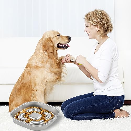 Slow Feeder Hundenapf Einfügung,Anti Schling Napf Anti Choke Große Hundenäpfe Kieselgel Slow Feeder Bowl für Hunde Fressnäpfe für Hunde Zubehör,Entlastet die Verdauung (Hundeteller)