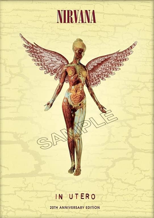 Generic Nirvana Poster Vintage Rock Band Grunge Punk Rock Wall Art Picture A4