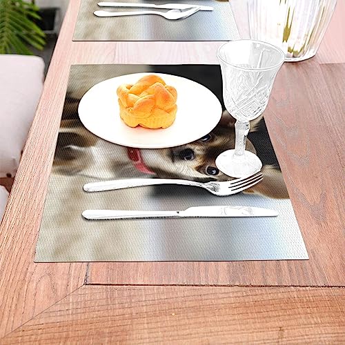 Set de table résistant à la chaleur en PVC imperméable et durable pour repas - 7