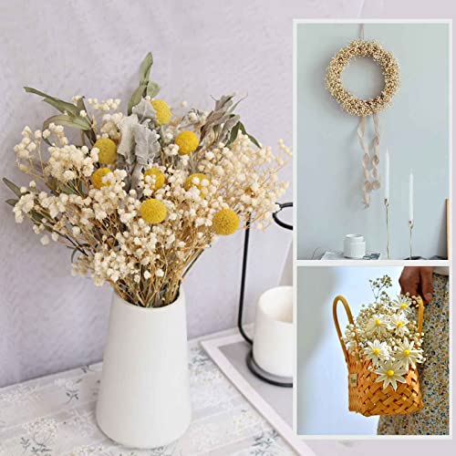 Dried Babys Breath Flowers Bouquet-17 Inch 2500+ Ivory White Dry Flowers, Natural Gypsophila Branches For Wedding, Table Vase Decor, Diy Wreath Floral, Home Office Party Garden Decoration (3Oz) #TOP7