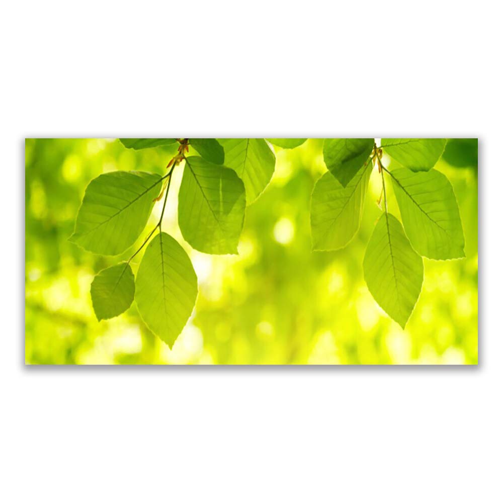 Tableau sur Verre Trempé 140x70 cm Feuilles Floral Décoration Murale Tulup