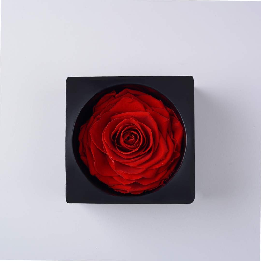 Forever Love Rose Gift Box, Enchanted Real Rose, Eternal Handmade Preserved Rose Flower for Women,Wife, Girlfriend on Valentine's Day, Birthday, Mother's Day. (Red)