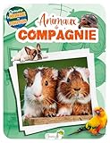  Animaux de compagnie