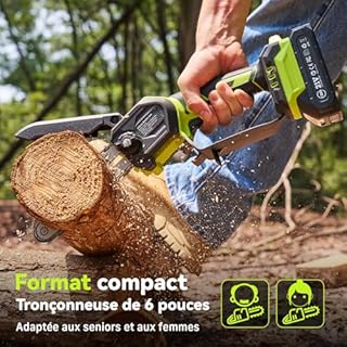 Supstable Mini Tronconneuse à Batterie 6 Pouces, Élagueuse Sans Fil pour Branches et Jardin, 2 Batteries 2Ah et Chargeur, petite Scie à Chaîne Rechargeable, Élagage de Branches et Coupe de Bois