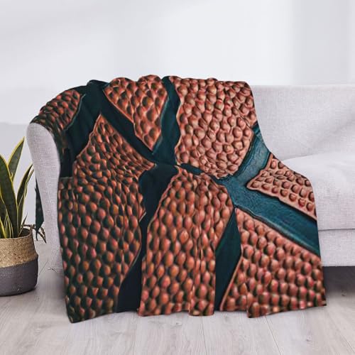 Couverture de lit légère microfibre imprimé sport basket-ball - 6