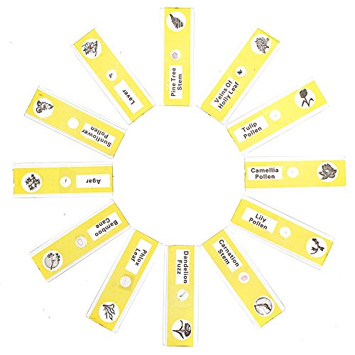 Whizkidslab 48 Plastic Prepared Microscope Slides Kit Bonus Butterfly Specimen For Kids Student Science Stem Education #TOP5