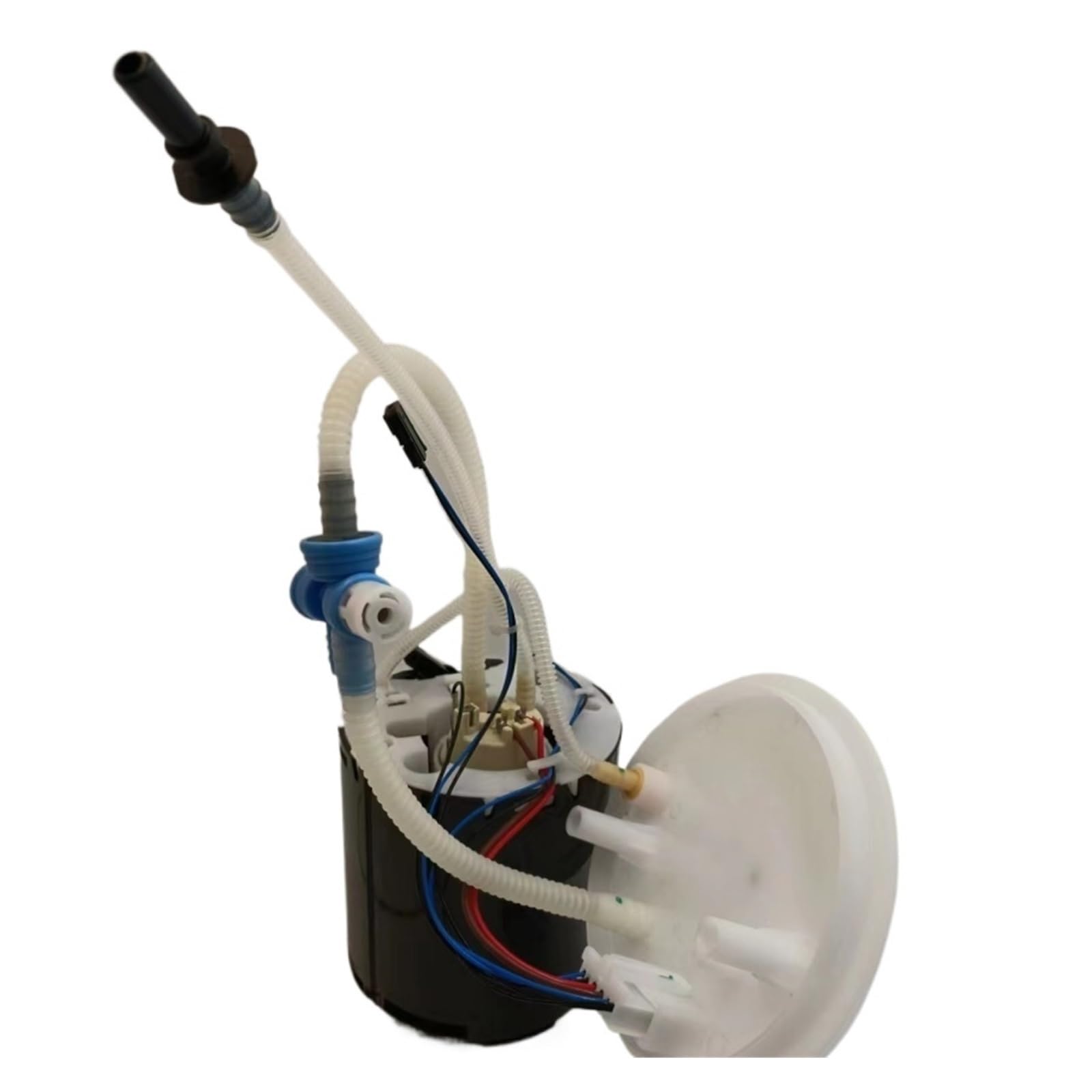 アンジェリカ　sp Amazon.com: JEENDA Sensor 25-418-07-S 264859 28163974