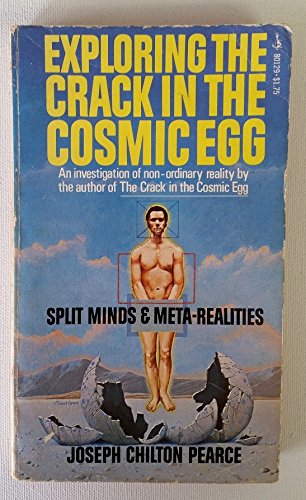 Exploring the Crack in the Cosmic Egg 0671801295 Book Cover