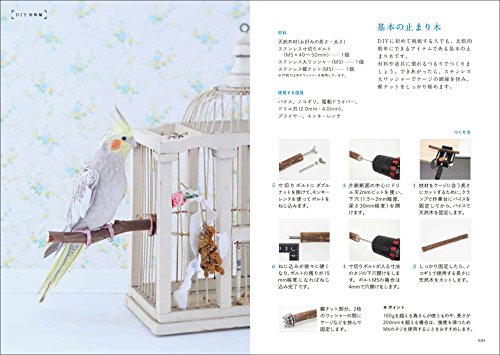 鳥さんのおもちゃについて 遊ぶ際の注意点 おもちゃで遊んでくれない 100均でおもちゃを選ぶ際の注意点などまとめました 鳥さんのおもちゃについて 遊ぶ際の注意点 おもちゃで遊んでくれない 100均でおもちゃを選ぶ際の注意点などまとめました