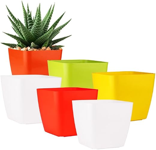 GARDENS NEED 6-Inch (15.24 cm) Four Square Flower Pot| Square Shape, Set of 6, Multicolour Planter for Indoor &amp; Outdoor | ...