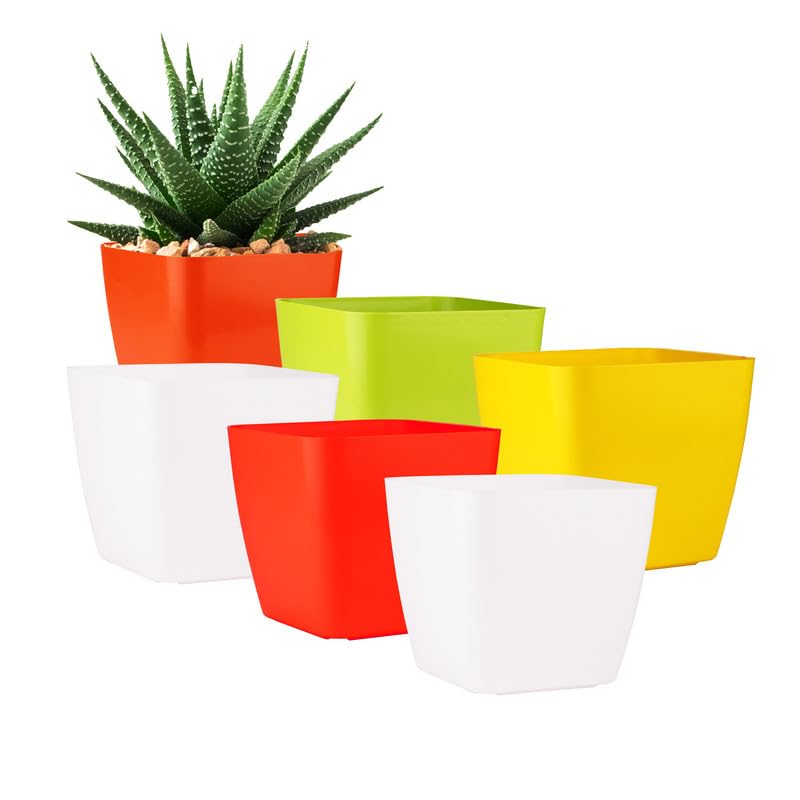 GARDENS NEED 6-Inch (15.24 cm) Four Square Flower Pot| Square Shape, Set of 6, Multicolour Planter for Indoor & Outdoor | ...