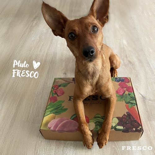 FRESCO Dog Feinschmeckerbox Rind - Geschenkbox für Hunde mit Snacks, Kaustangen und Barf-Menüs - 100% natürlich und getreidefrei - Leckerlis und Hundefutter für alle Rassen (300g, Rindfleisch)