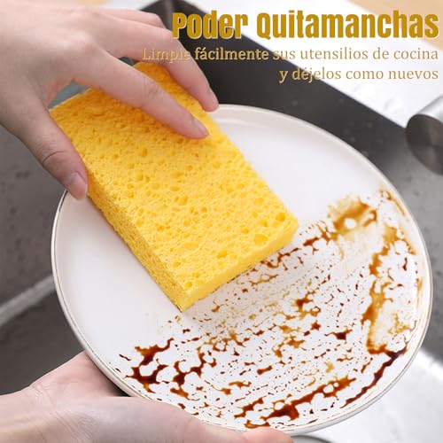 Catálogo de Esponja celulosa más recomendados. 4