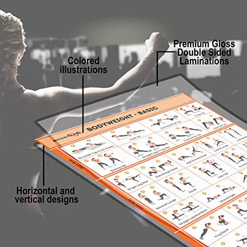 SPORTAXIS-No Equipment Laminated Bodyweight Workout Posters with Coloured Illustrations-Home Workout Poster for Men and Women-Basic and Advanced Home Training Wall Posters -18