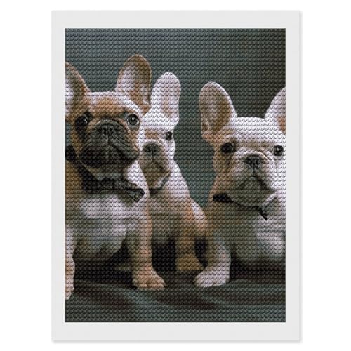 Peinture diamant chiots bouledogue français broderie adulte