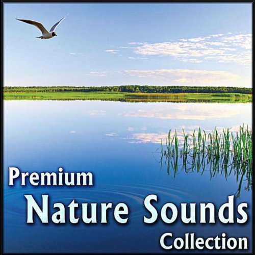 Premium Nature Sounds Collection: Sounds of Nature for Sleeping & Relaxing