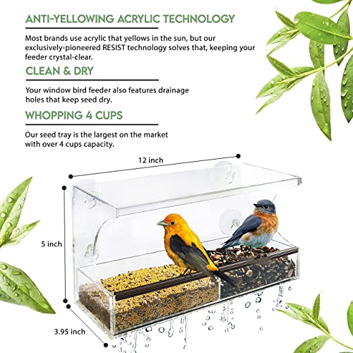 Window Bird Feeder With Strong Suction Cups - Innovative Anti-Yellowing Acrylic Technology - Extra Large 4 Cups Seed Tray #TOP3