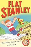 The Amazing Mexican Secret (Flat Stanley) (English Edition)