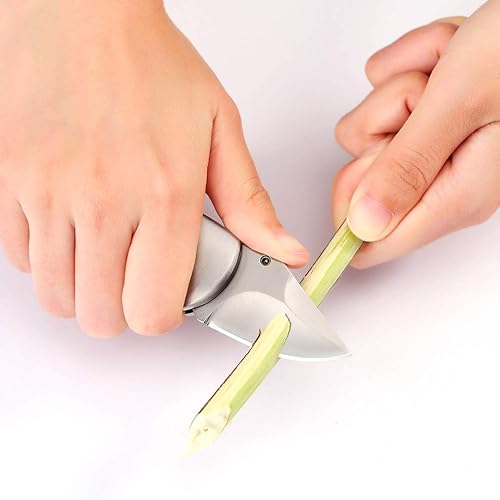 Miniatura 5 de Cuchillo de bolsillo, mango de madera pequeño, hoja de 2 pulgadas, cuchillo de transporte diario de acero inoxidable